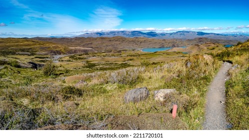 Hiking trail towards Amarga valley, surrounded by austral forests in Torres del Paine National Park, Patagonia, Chile, at sunny day and blue sky - Shutterstock ID 2211720101