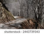 A hiking trail in Trentino near Pregasina