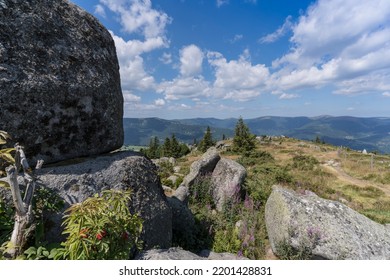 Hiking Trail In The Vosges Mountains.