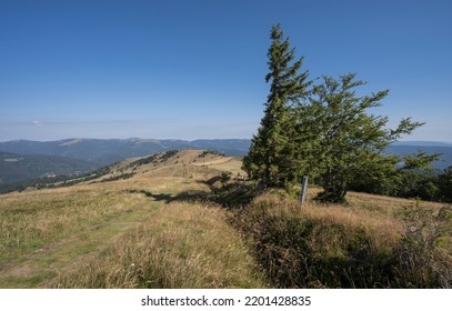 Hiking Trail In The Vosges Mountains.