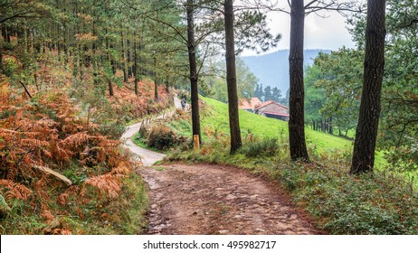 Hiking Trail Way Of Saint James, Spain 