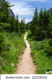 Hiking Trail In The Wilderness