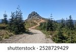 Hiking trail winding up a steep hill leading to a large rocky outcropping, framed by pine trees.