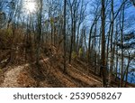 A hiking trail winds through a mountain forest of bare trees in winter. A bright sun in a blue sky shines through the branches and illuminates the scenery. Brooker T Washington Park, TN. Horizontal