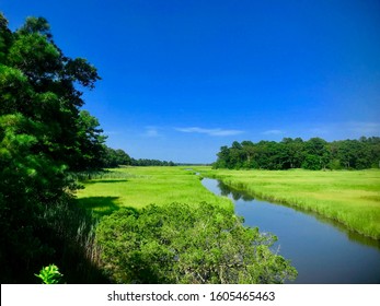 Hiking Trail Within Cape Henlopen State Park, Lewes Delaware 