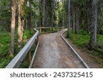 A hiking trail with a wooden handrail through a summery old-growth forest near Puolanka, Northern Finland