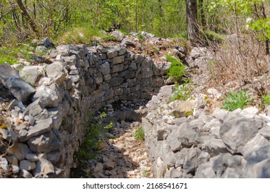 A Hiking Trail In A Ww1 Memorial Park