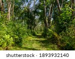 Hiking trails in and around Belleview State Park, Iowa.