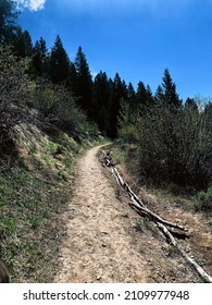 Hiking The Trails Of Avon, Colorado