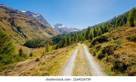 Hiking Trails In The Fex Valley (Switzerland) Offer Gorgeous Views When Walking From The Entrance Outside Sils Maria Towards Fex Glacier At The End. It's Located At An Height Of 1,800 To 2,000 Metres