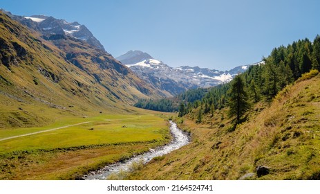 Hiking Trails In The Fex Valley (Switzerland) Offer Gorgeous Views When Walking From The Entrance Outside Sils Maria Towards Fex Glacier At The End. It's Located At An Height Of 1,800 To 2,000 Metres