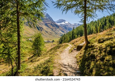 Hiking Trails In The Fex Valley (Switzerland) Offer Gorgeous Views When Walking From The Entrance Outside Sils Maria Towards Fex Glacier At The End. It's Located At An Height Of 1,800 To 2,000 Metres