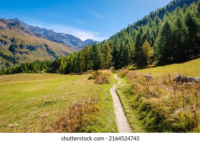 Hiking Trails In The Fex Valley (Switzerland) Offer Gorgeous Views When Walking From The Entrance Outside Sils Maria Towards Fex Glacier At The End. It's Located At An Height Of 1,800 To 2,000 Metres