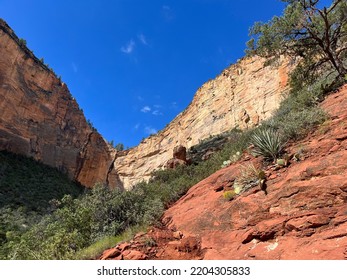 Hiking Trails In Sedona Arizona