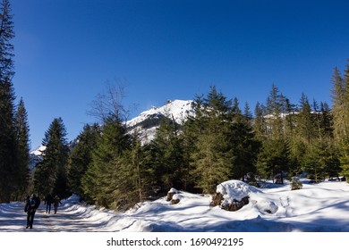 Hiking Train To Morskie Oko From Zakopane (Poland)