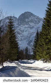 Hiking Train To Morskie Oko From Zakopane (Poland)