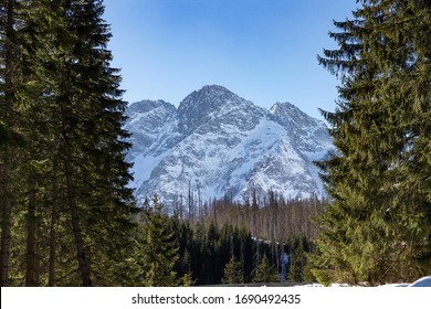 Hiking Train To Morskie Oko From Zakopane (Poland)