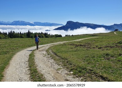 Hiking In The Vercors From Engins, The Sornin To The Plateau De La Molière