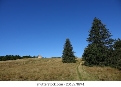 Hiking In The Vercors From Engins, The Sornin To The Plateau De La Molière