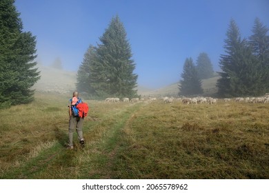 Hiking In The Vercors From Engins, The Sornin To The Plateau De La Molière