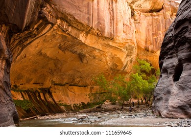 Hiking The Virgin Narrows, Zion National Park