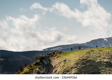 Hiking In The Voges Mountains Near The Grand Ballon.