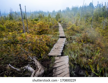 Hiking The West Coast Trail