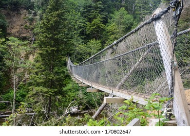 Hiking The West Coast Trail