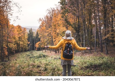 Hiking woman enjoying fresh air and feeling positive energy in autumn forest. Getting away from it all. Digital detox in nature - Shutterstock ID 2043067871