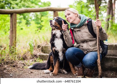 Hiking Woman With Rucksack And Her Bernese Mountain Dog On A Trail