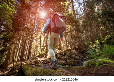 Hiking Woman Walk With A Hiking Backpack In Spring Green Forest