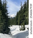 Hiking Up Yellow Aster Butte Trail in Washington State Cascade Mountains