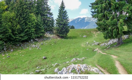 Muntii Piatra Craiului High Res Stock Images Shutterstock