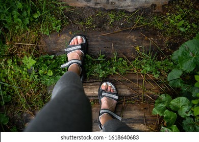 Hiking.Woman Legs With Sandals On The Mountain Path, Top View. Stones And Green Grass. Nature And Rest Concept. Horizontal