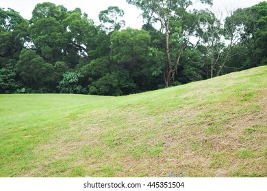 hill
