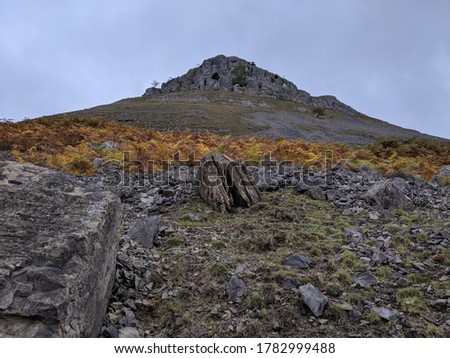 A hill in the British valleys bourderd by a line of yellow/orange vegitation 