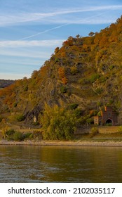 A Hill With Dense Trees At Rhine Gorge, Germany