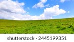 Hill with green grass and blue sky. Somewhat reminiscent of the standard screensaver on the Windows Xp desktop.