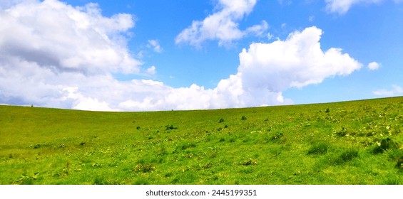 Colina con hierba verde