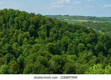 hill overgrown with dense deciduous forest, view from above - Shutterstock ID 2184897849