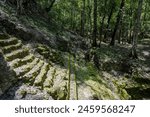 The hill overgrown with trees and dense bushes is the ruins of an ancient Mayan building from the early preclassic period of the Mayan civilization, the archaeological site of El Mirador. 