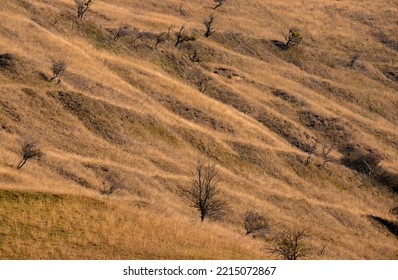 A Hill Slope With Dry Grass