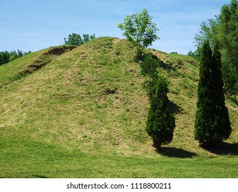 Hill and Trees