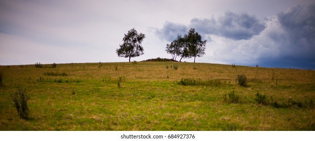 Hill with trees