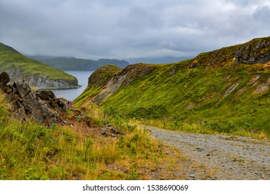 From Hill In Unalaska Island