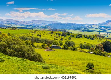 Hill View Farm Rural Area, Otago Region, South Island, New Zealand