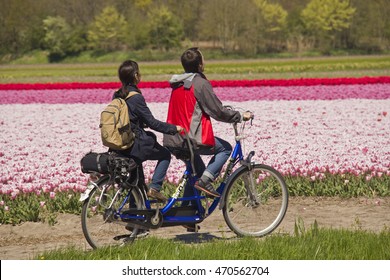 5 man tandem bike