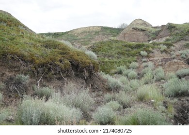 Hills In The Badlands Of Southern Alberta