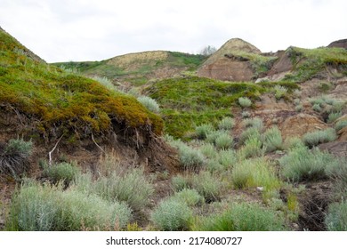 Hills In The Badlands Of Southern Alberta