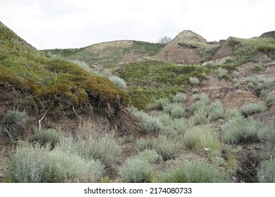 Hills In The Badlands Of Southern Alberta